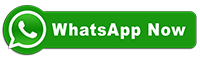 Whatsapp Now